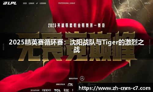 2025精英赛循环赛：沈阳战队与Tiger的激烈之战